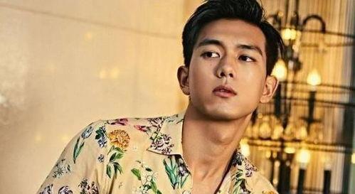 娱乐圈吃瓜的男明星是谁,揭秘那些热衷于八卦的明星们